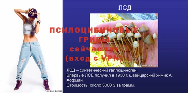 стаф Нефтегорск